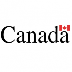 Le Centre de Création Diffusion de Gaspé (CCDG) est heureux d’annoncer avoir été sélectionné par le Fonds du Canada pour la présentation des arts comme bénéficiaire d’une subvention de 47 000 $ dans le cadre du Fonds d’appui aux travailleurs du secteur des arts et de la musique devant public. 