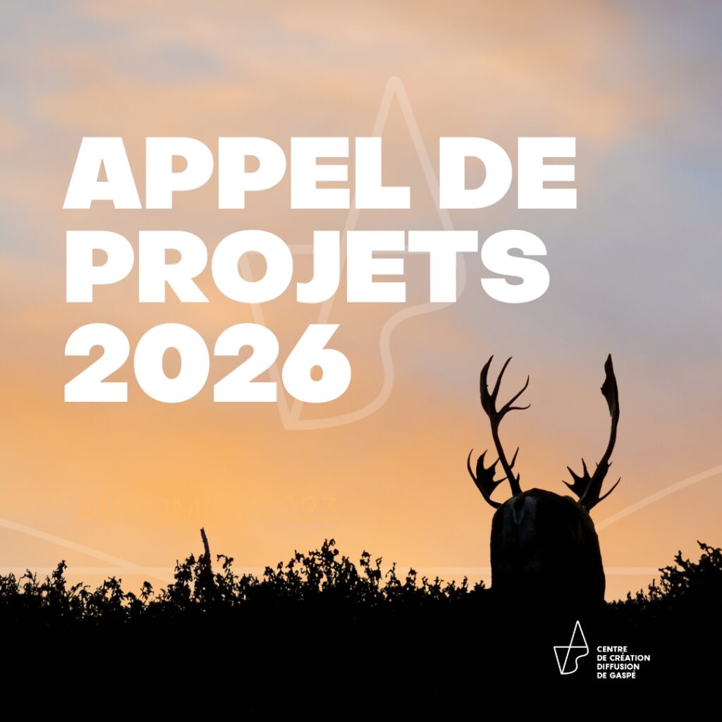 Le CCDG lance un appel à projets destiné aux artistes gaspésiens et gaspésiennes en voie de professionnalisation ou professionnel·le·s.